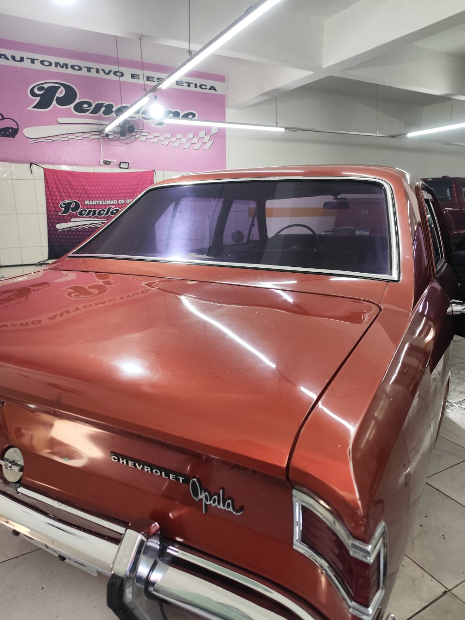 Higienização Interna