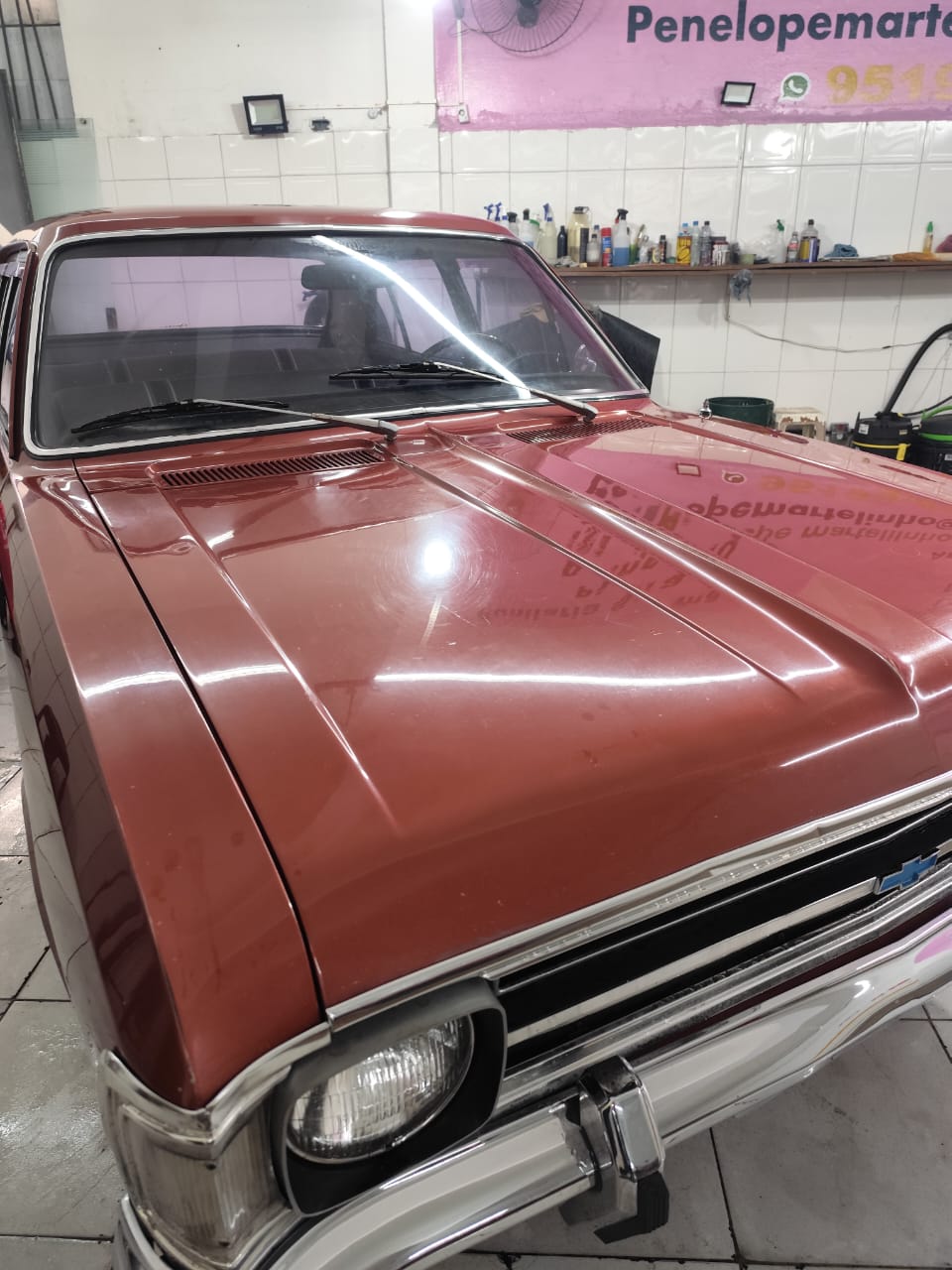 Vitrificação Completa